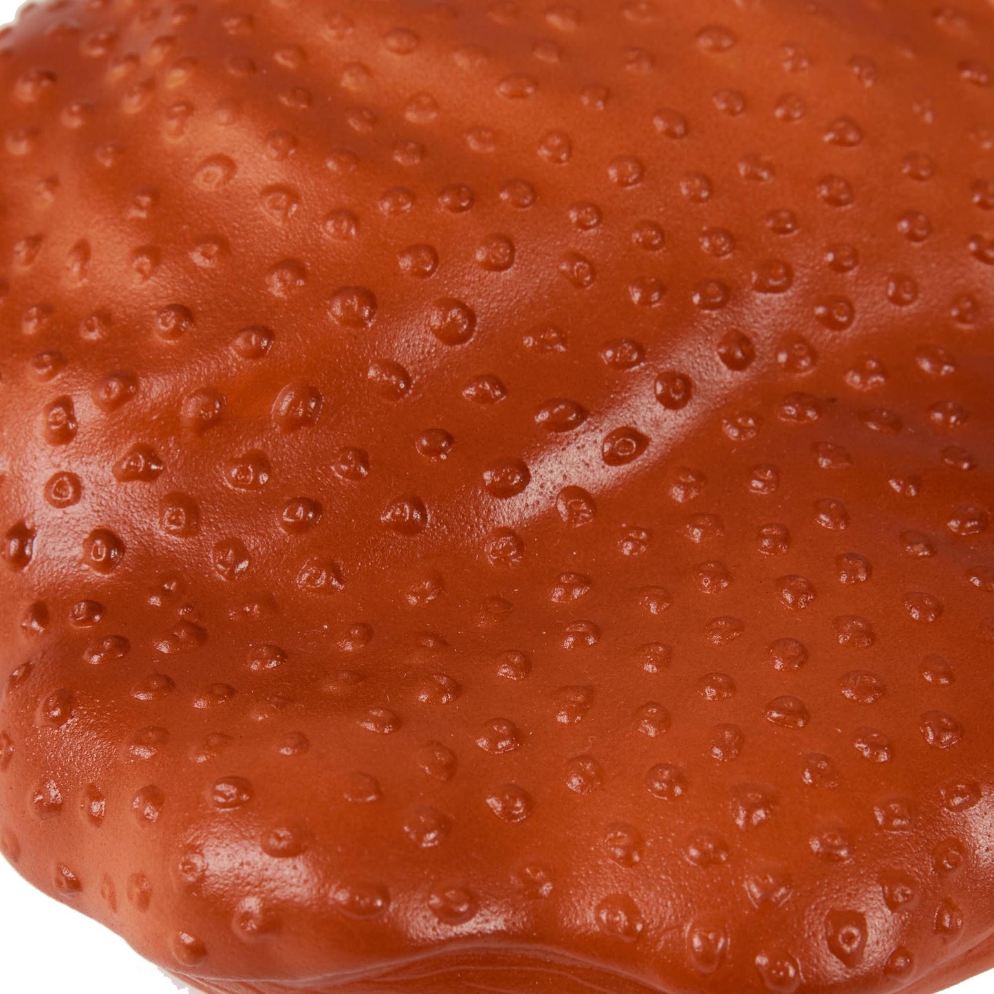 Pet Brands Turkey Leg Squeaky Vinyl Dog Toy