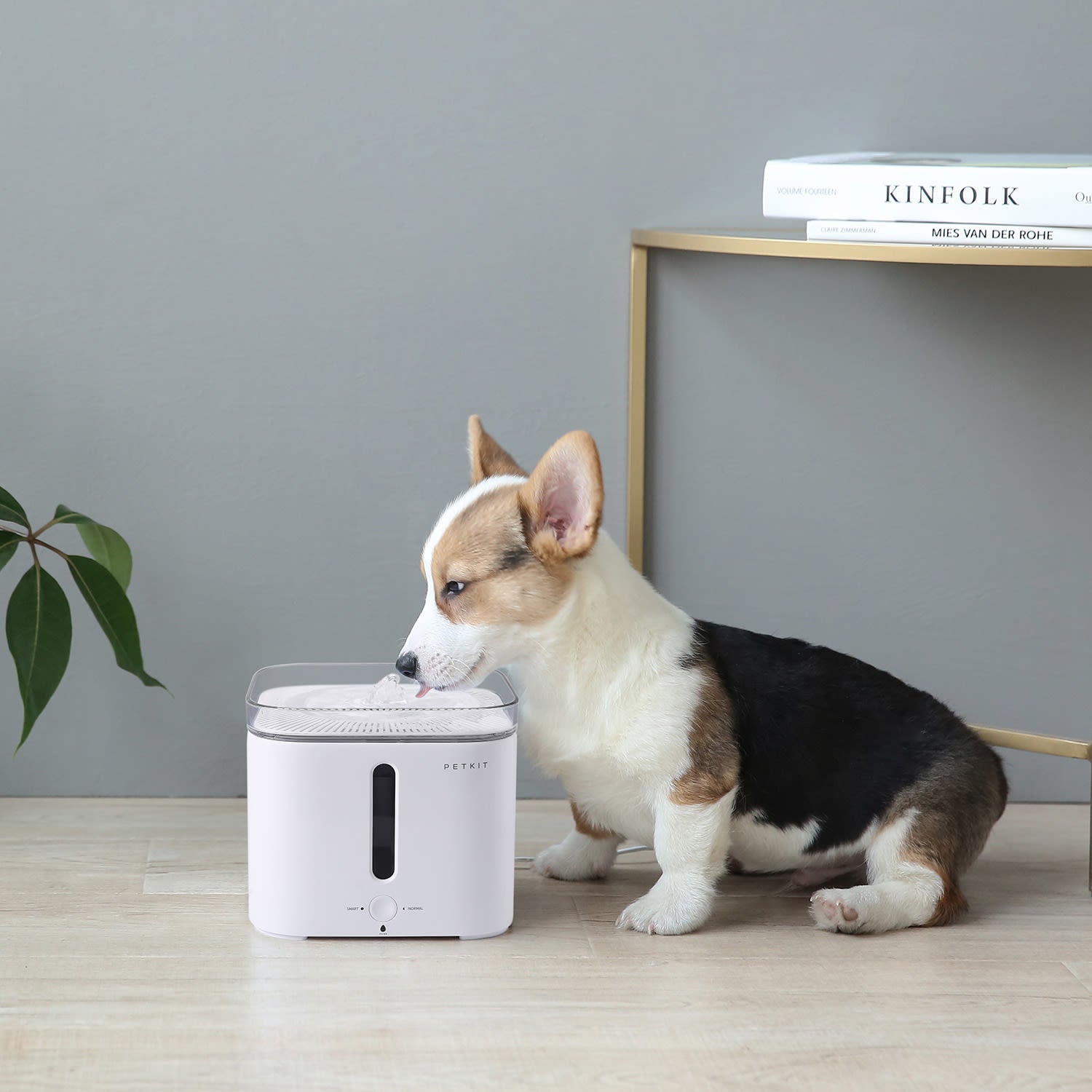 Petkit Eversweet G2 Cat & Dog Drinking Fountain – Pet Supermarket