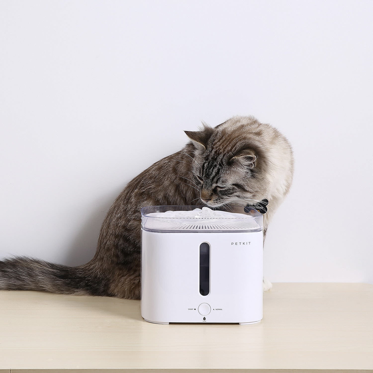 Petkit Eversweet G2 Cat & Dog Drinking Fountain – Pet Supermarket