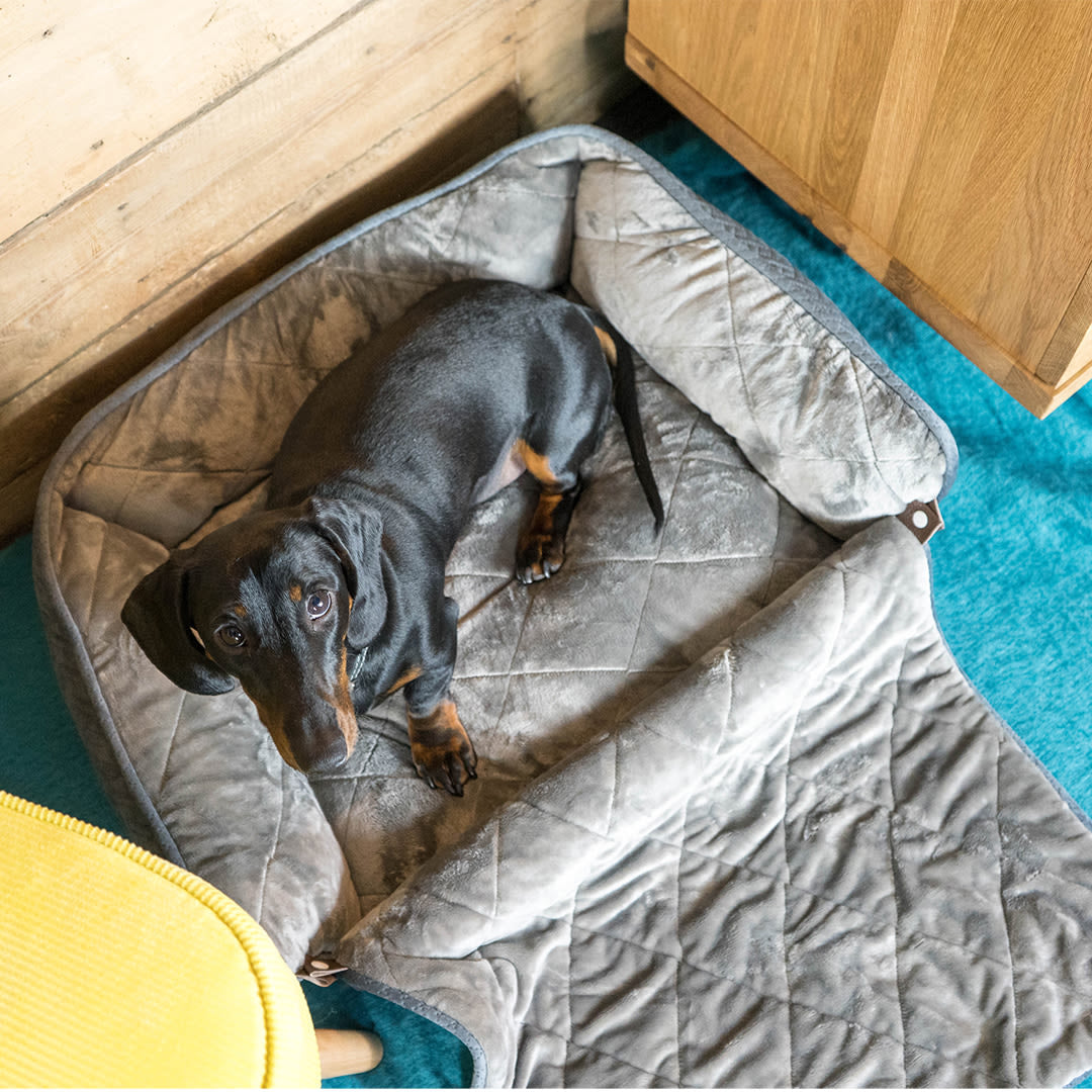 Dream Paws Dog Sofa Bed