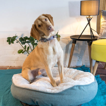 Dream Paws High-Side Grey Dog Bed