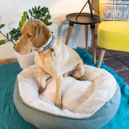 Dream Paws High-Side Grey Dog Bed