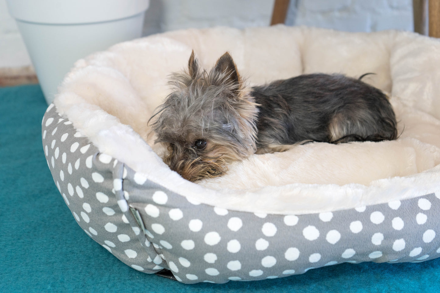 Dream Paws Scalloped Grey Dog Bed