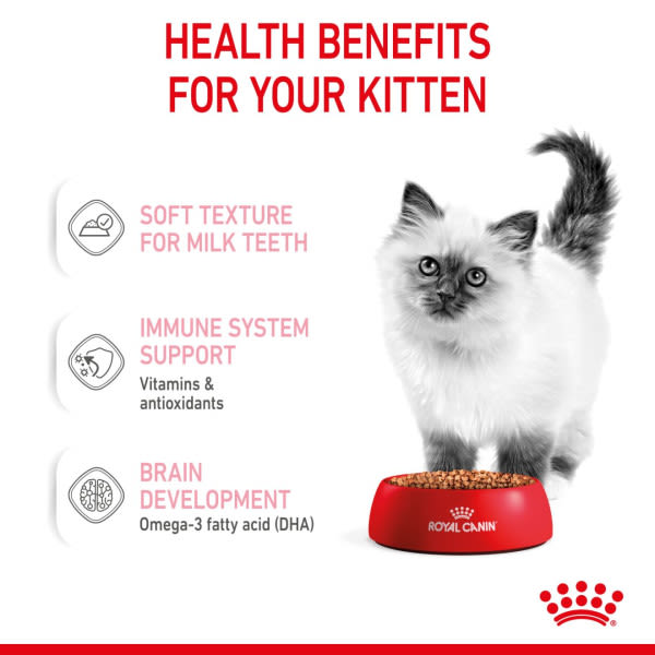 Royal Canin Feline Health Nutrition in Gravy Kitten Wet Cat Food
