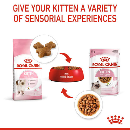 Royal Canin Feline Health Nutrition in Gravy Kitten Wet Cat Food