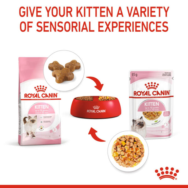 Royal Canin Feline Health Nutrition Instinctive in Jelly Kitten Wet Cat Food