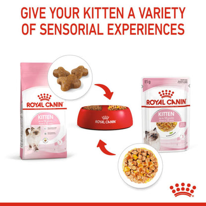 Royal Canin Feline Health Nutrition Instinctive in Jelly Kitten Wet Cat Food