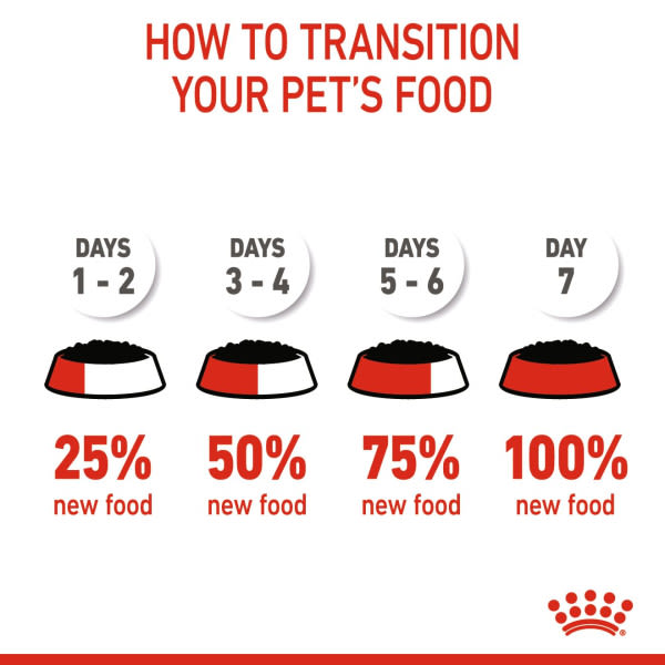 When to Transition to Adult Dog Food: Expert Tips for Perfect Timing