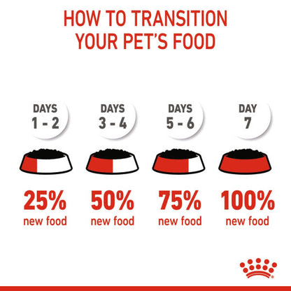 When to Transition Dog to Adult Food: Expert Tips for Healthy Growth