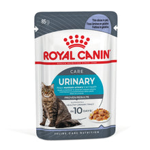 Royal Canin Feline Health Nutrition Urinary Care in Jelly Wet Cat Food