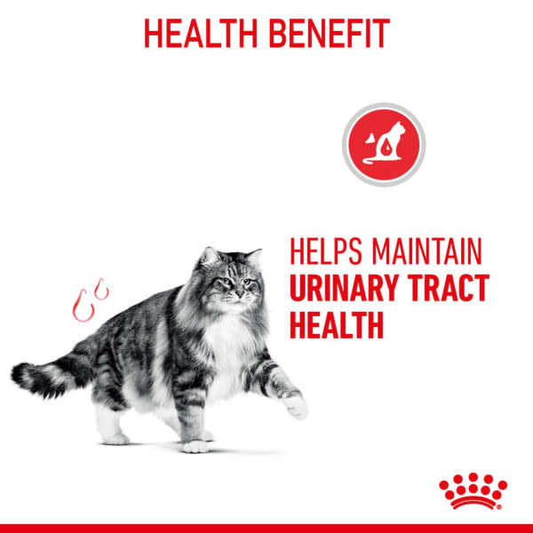 Royal Canin Feline Health Nutrition Urinary Care in Gravy Adult Wet Cat Food