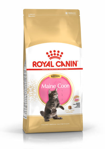 Royal Canin Maine Coon Kitten Dry Cat Food