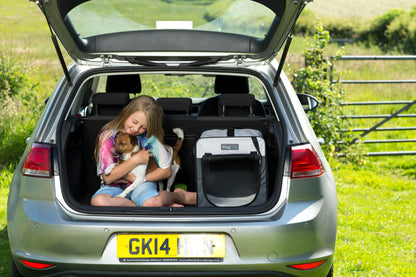 Henry Wag Folding Fabric Travel Pet Crate