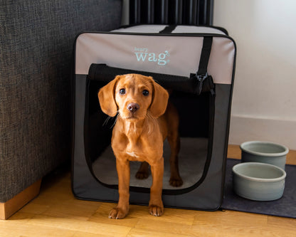 Henry Wag Folding Fabric Travel Pet Crate