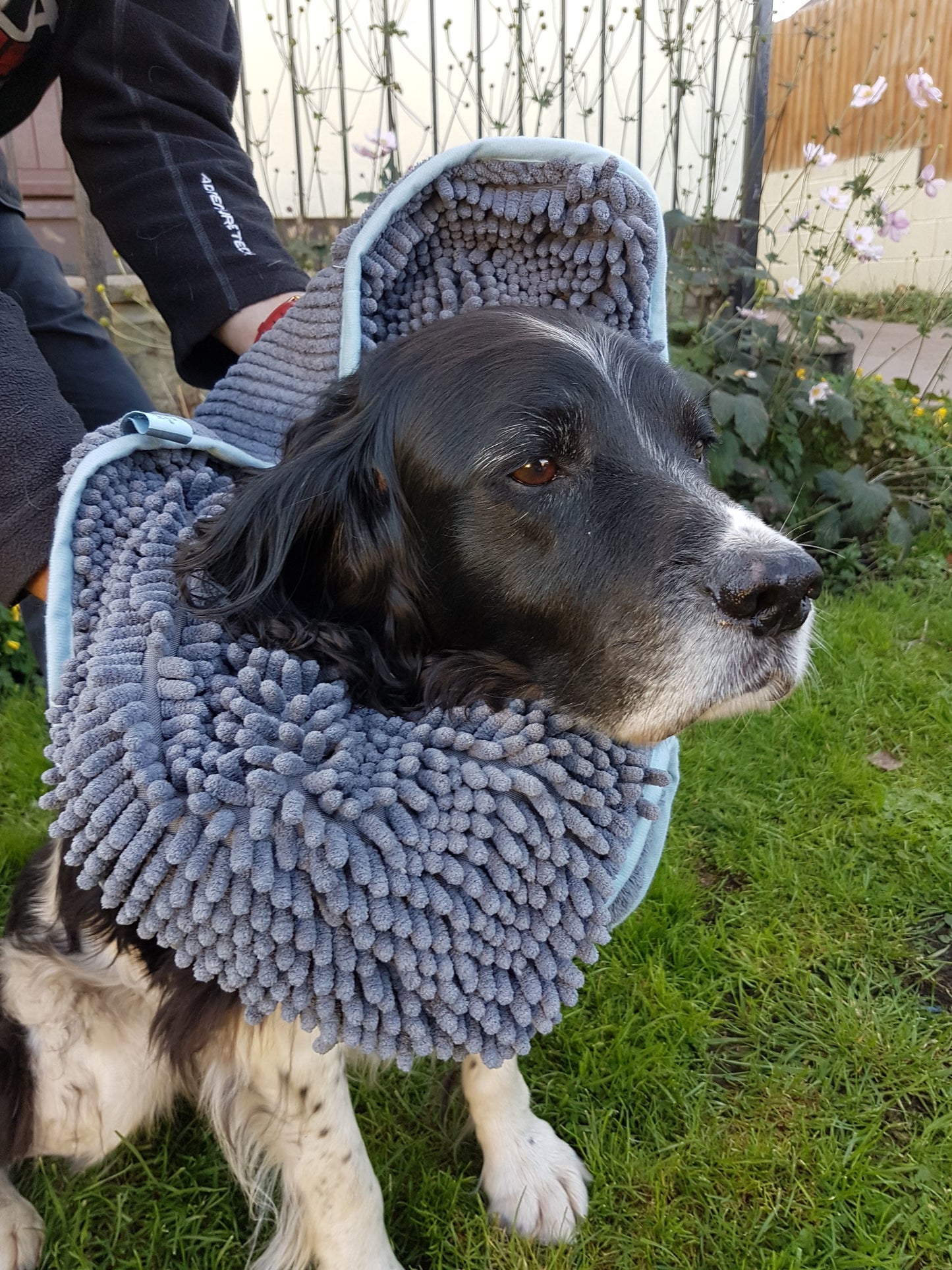 Henry Wag Noodle Glove Towel 80 X 35cm