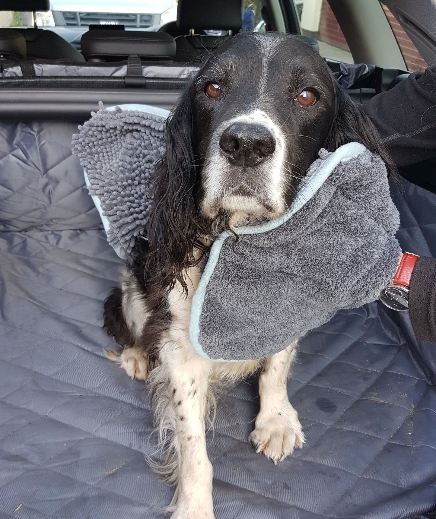 Henry Wag Noodle Glove Towel 80 X 35cm