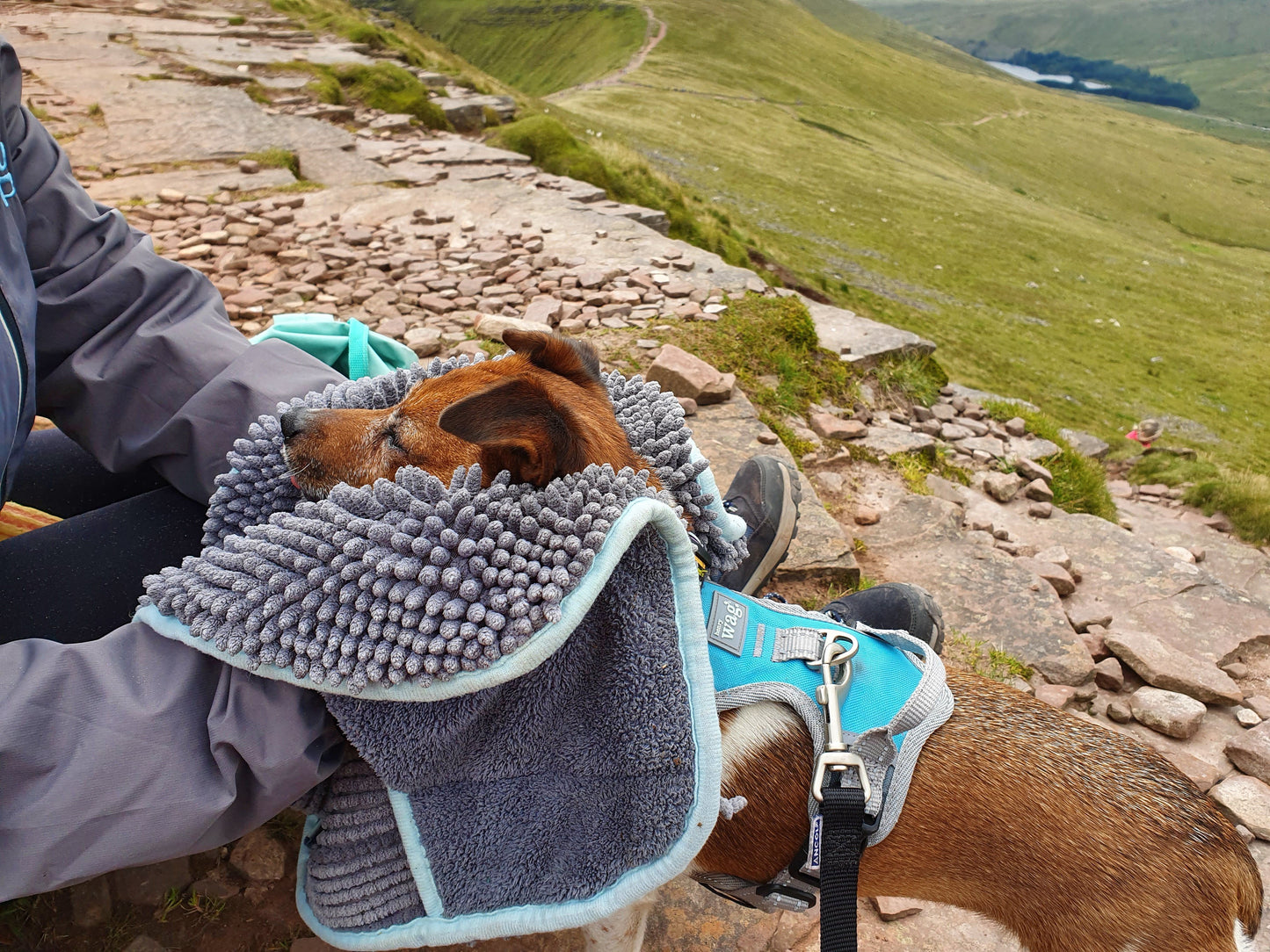 Henry Wag Noodle Glove Towel 80 X 35cm