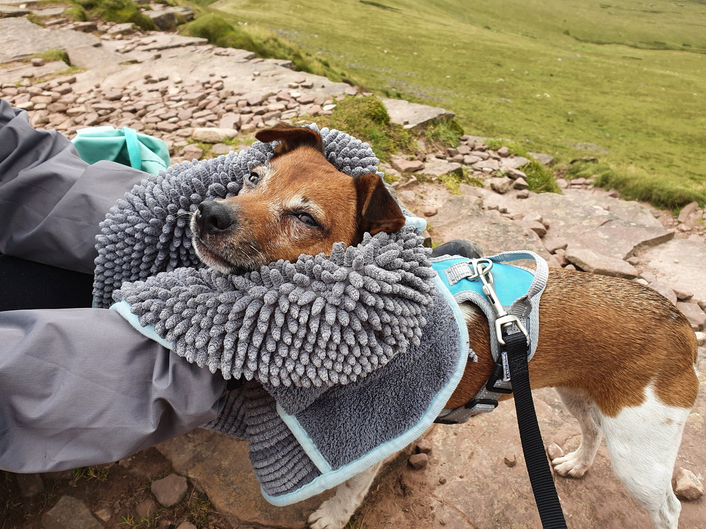 Henry Wag Noodle Glove Towel 80 X 35cm