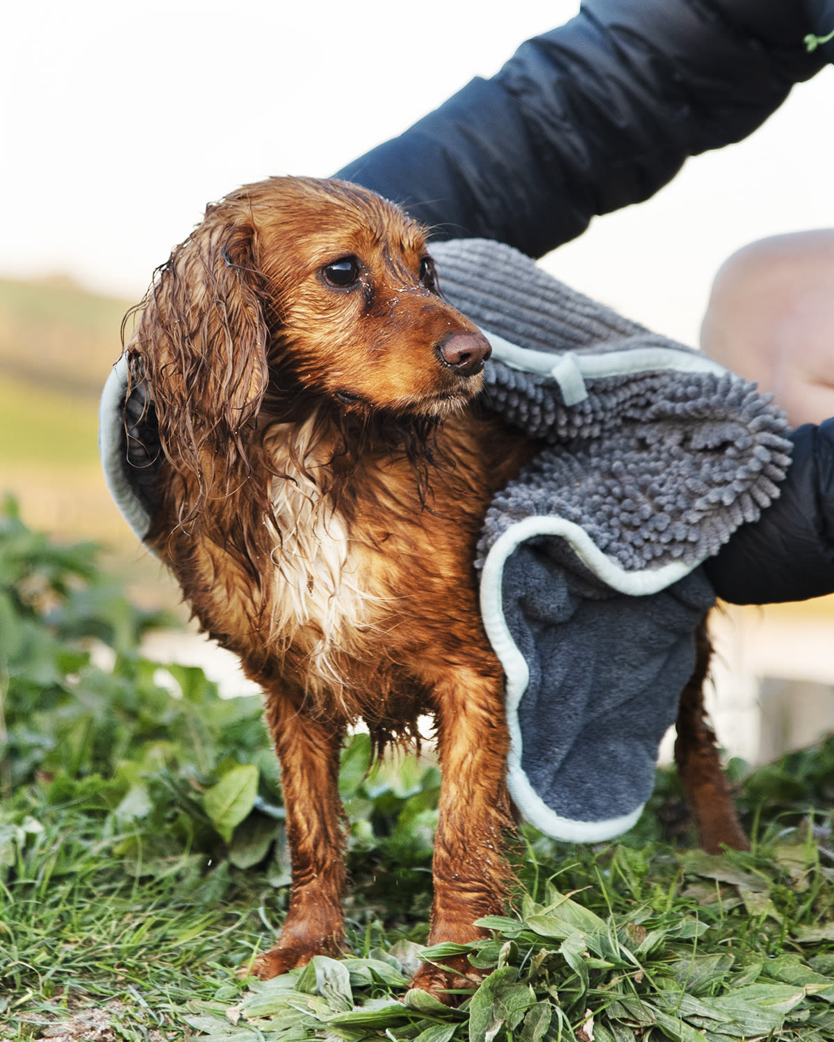 Henry Wag Noodle Glove Towel 80 X 35cm