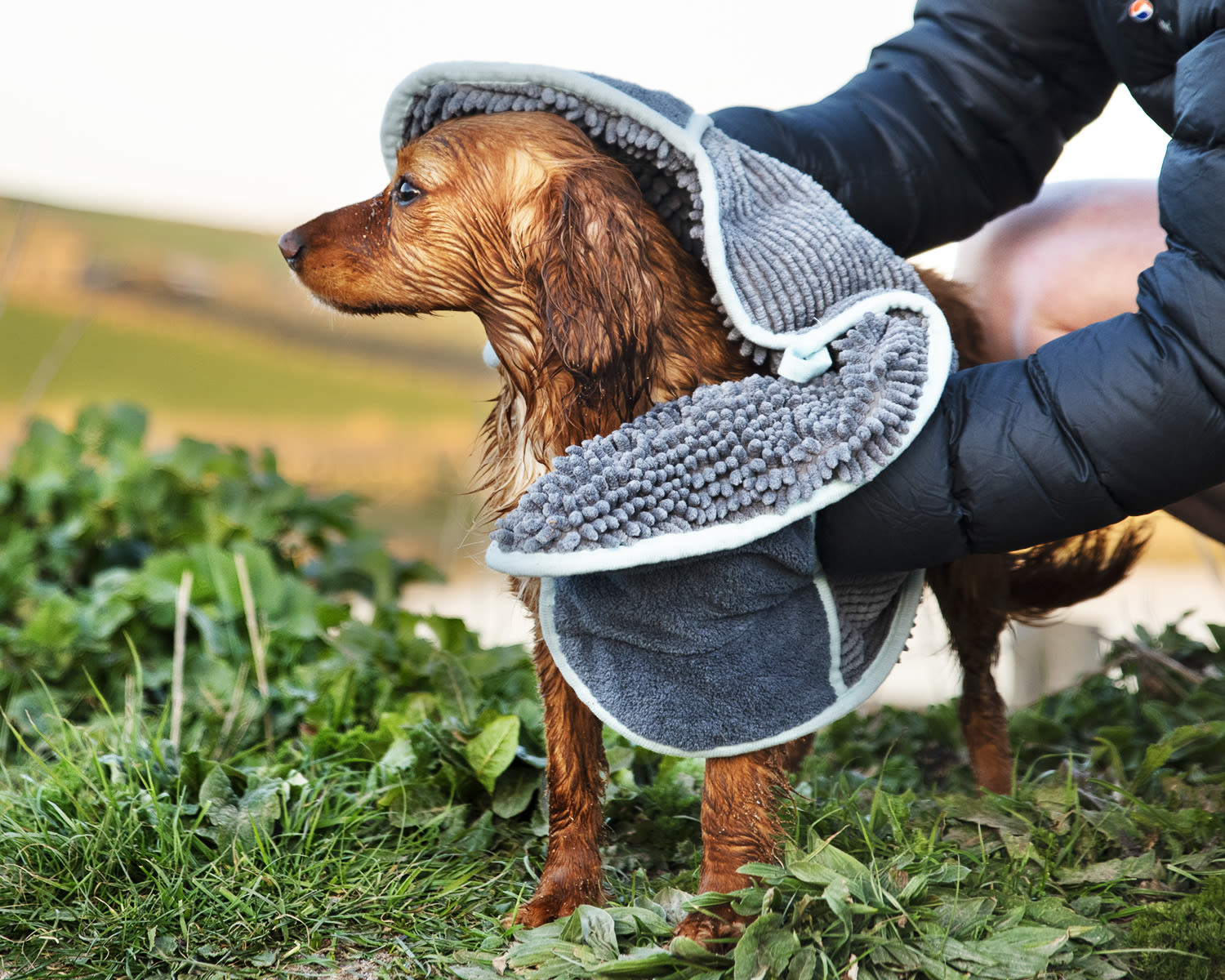 Drying Bag Henry Wag Microfibre Dog Towel Towel Henry Wag Drying
