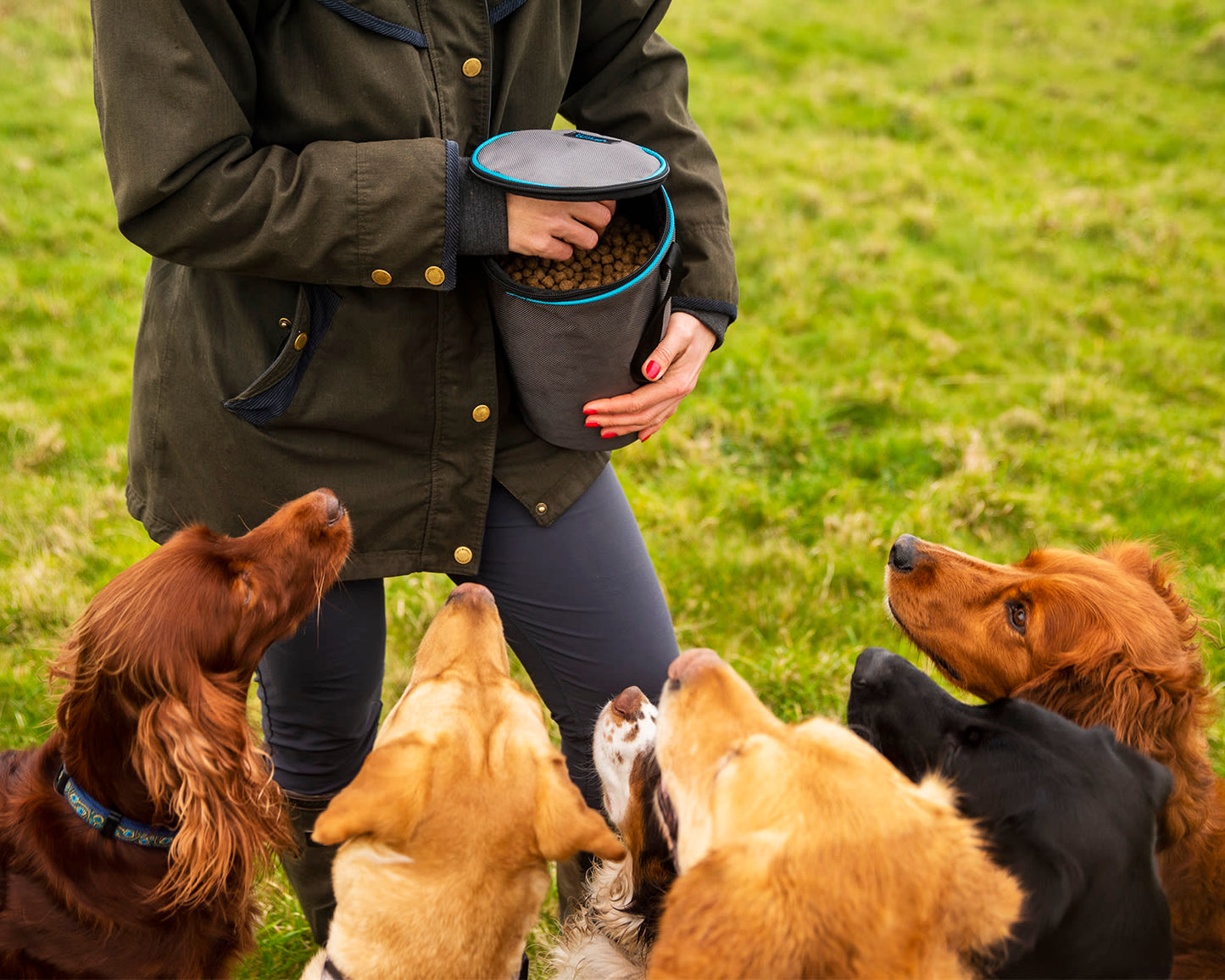 Henry Wag Snack Pack Grey Dog Travel Food Bag