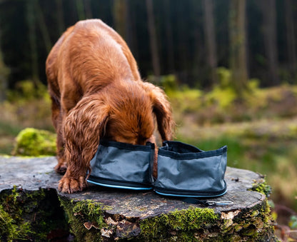 Henry Wag Snaffle Set Pack Folding Grey Dog Travel Bowls