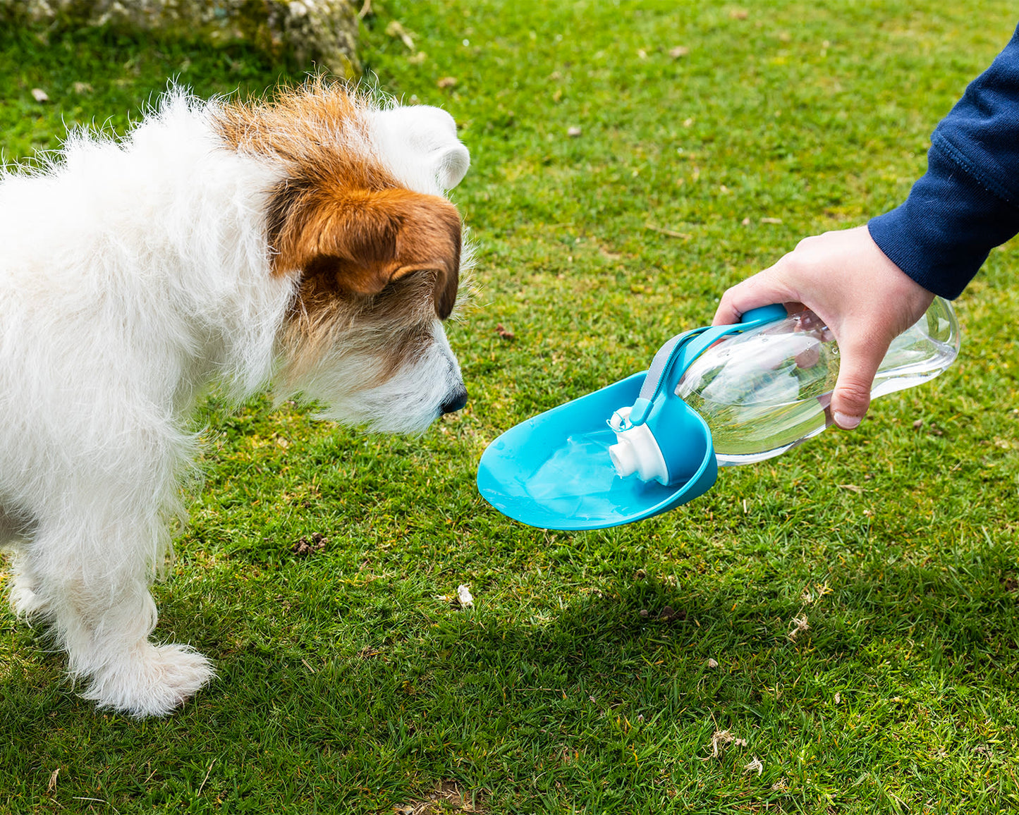 Henry Wag Water Bottle with Leaf Dog Bowl