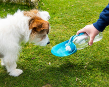 Henry Wag Water Bottle with Leaf Dog Bowl