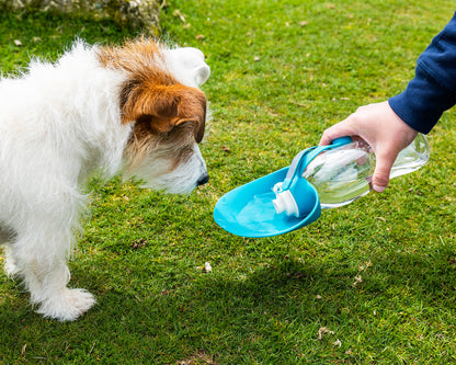 Henry Wag Water Bottle with Leaf Dog Bowl