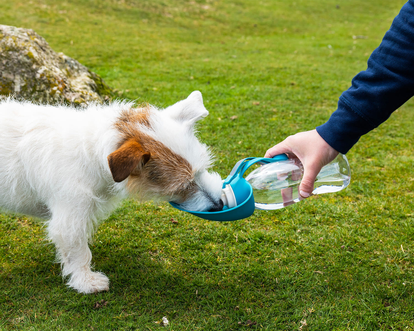 Henry Wag Water Bottle with Leaf Dog Bowl