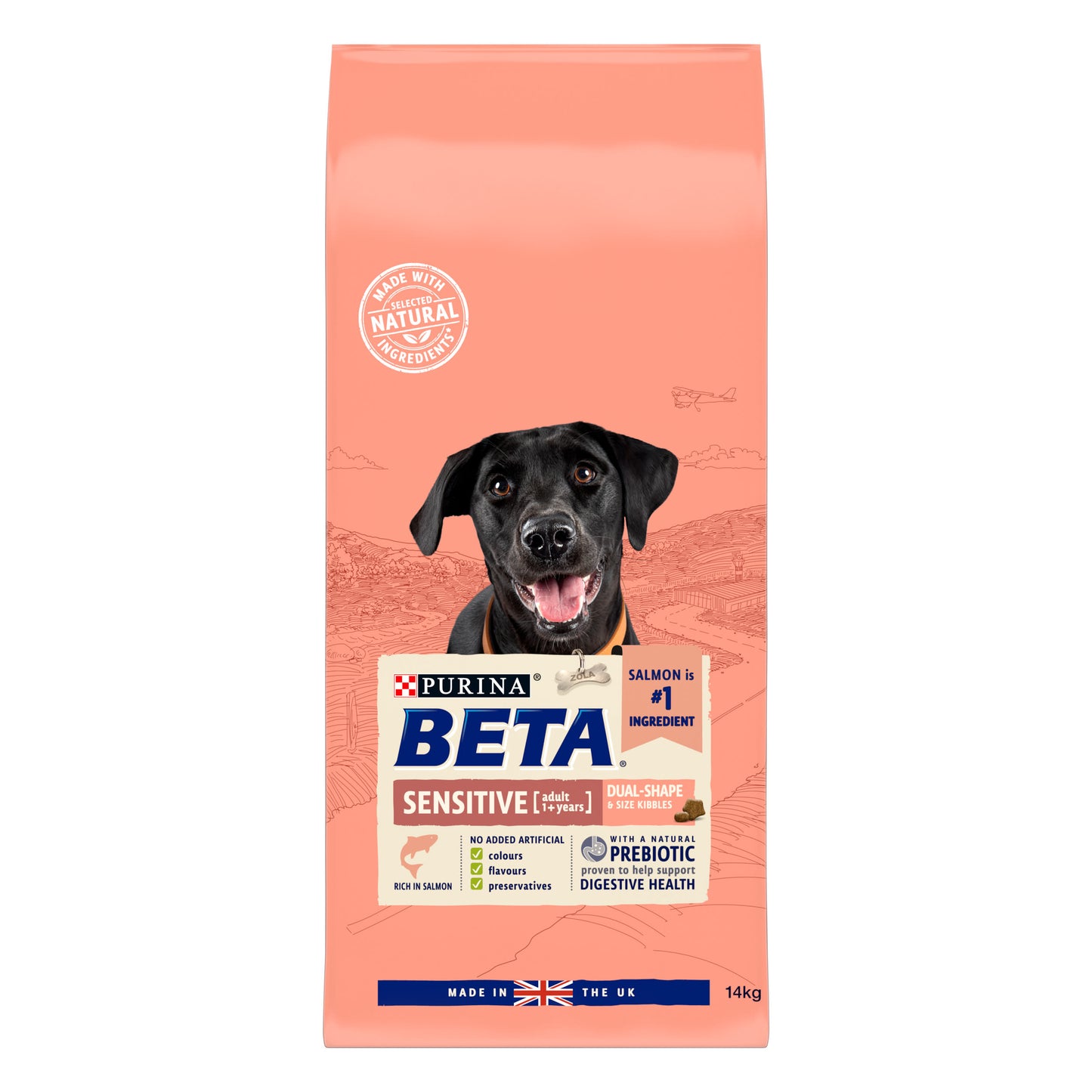 BETA Sensitive Dry Dog Food - Salmon