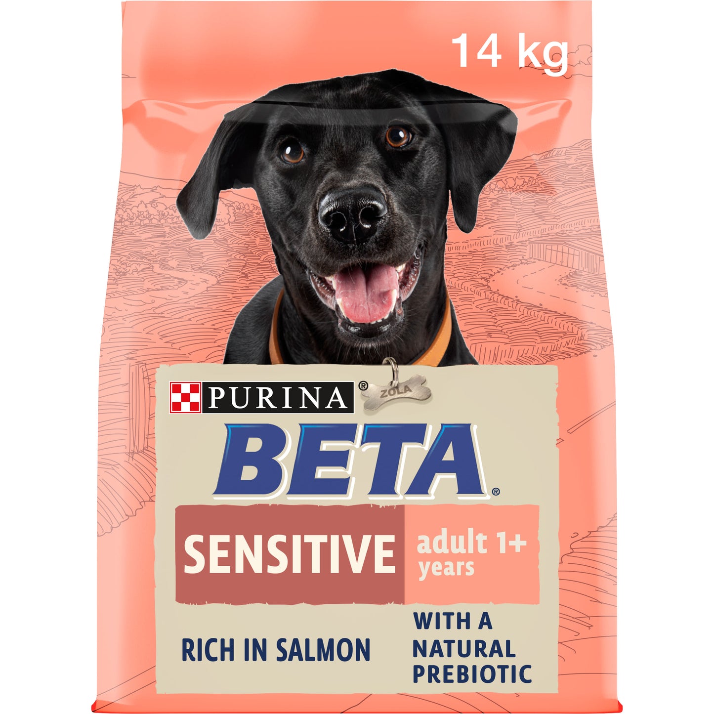 BETA Sensitive Dry Dog Food - Salmon