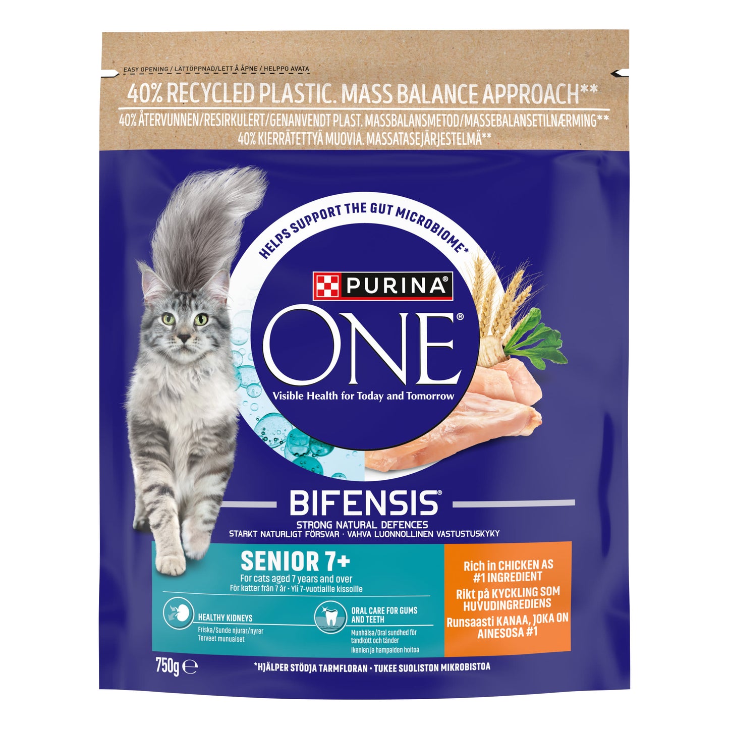 Purina One 7+ Dry Cat Food Rich in Chicken