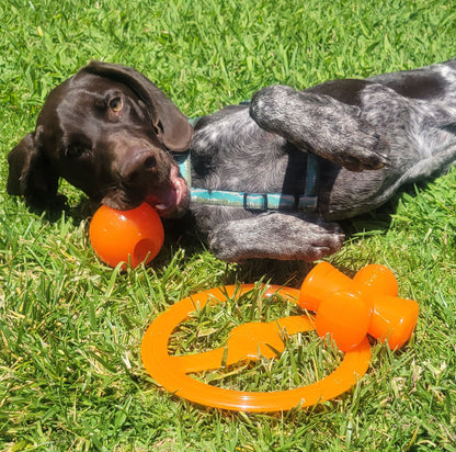 BIONIC Stuffer Hidden Treats Orange Dog Chew Toy