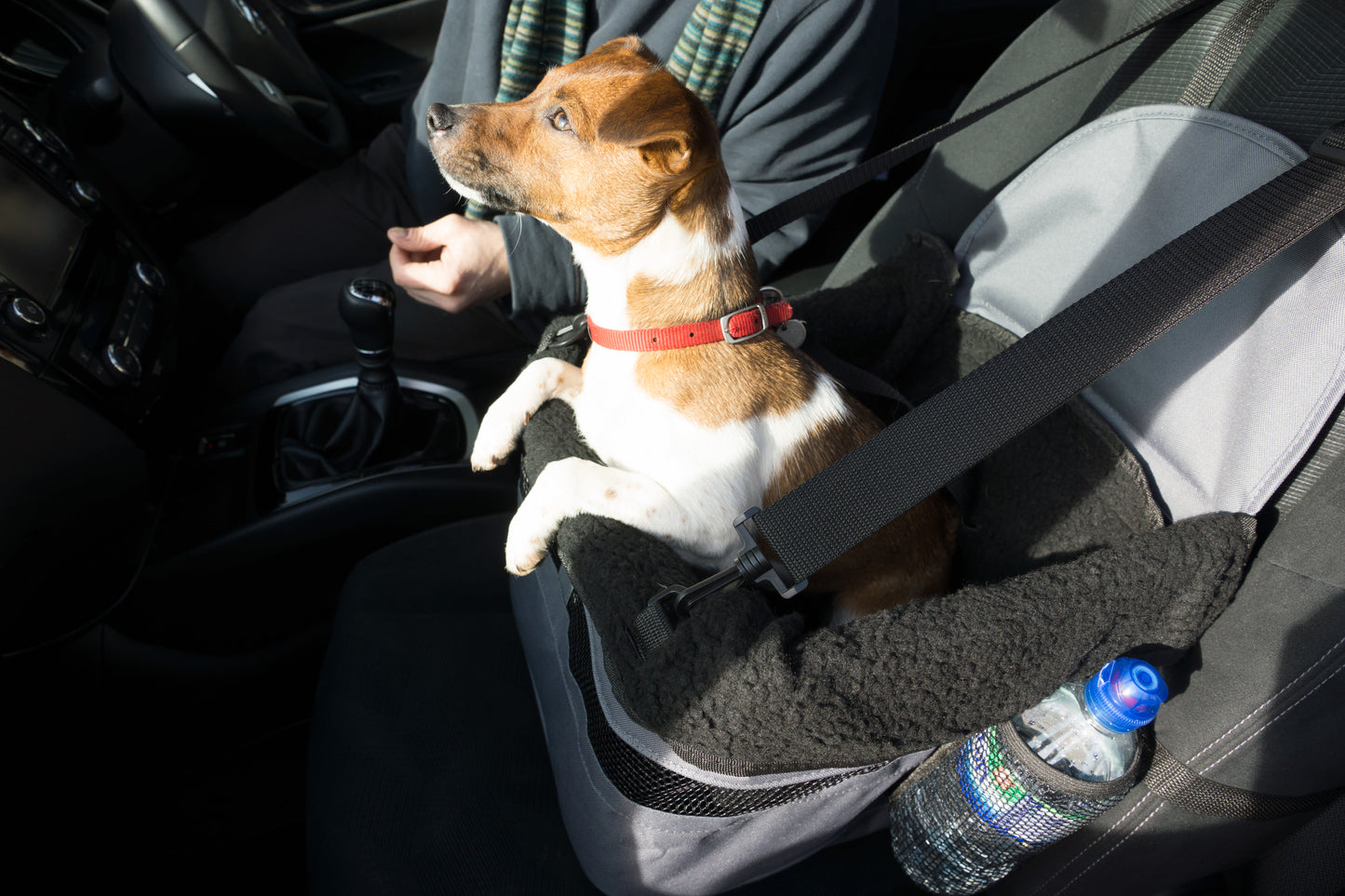 Henry Wag Pet Car Booster Seat