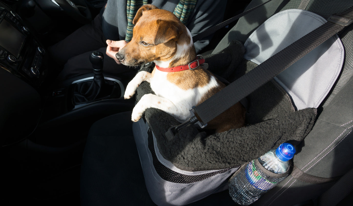 Henry Wag Pet Car Booster Seat