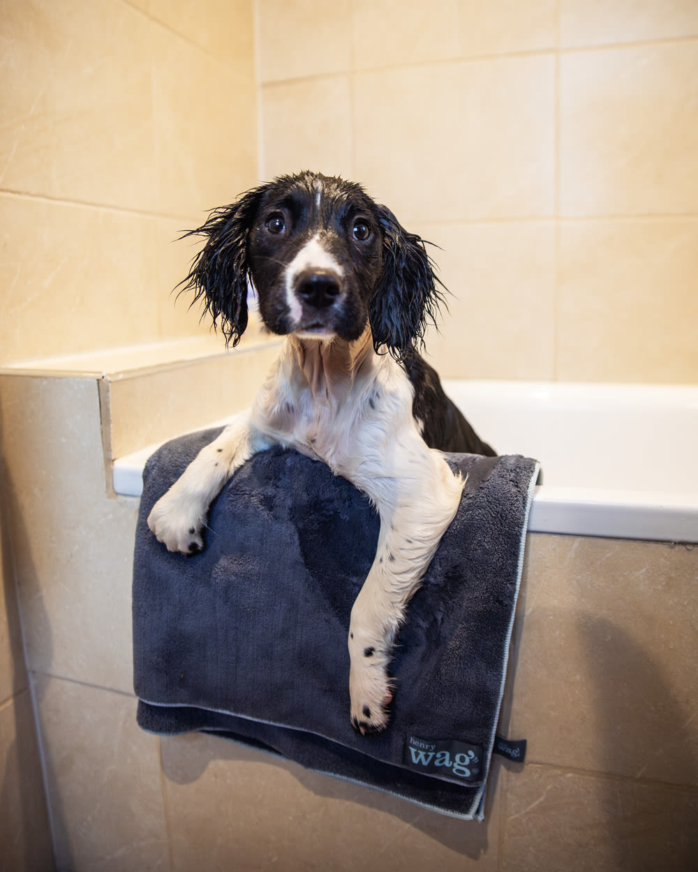 Henry Wag Microfibre Cleaning Towel