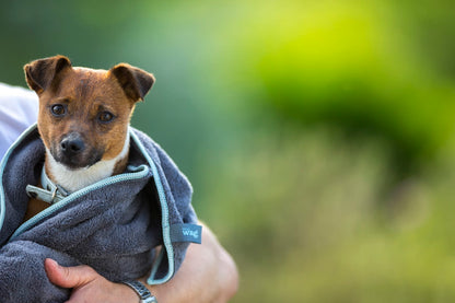 Henry Wag Microfibre Cleaning Towel