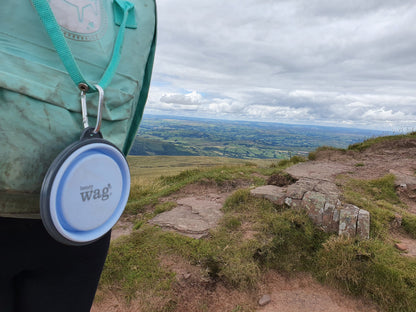 Henry Wag Blue Dog Travel Bowl