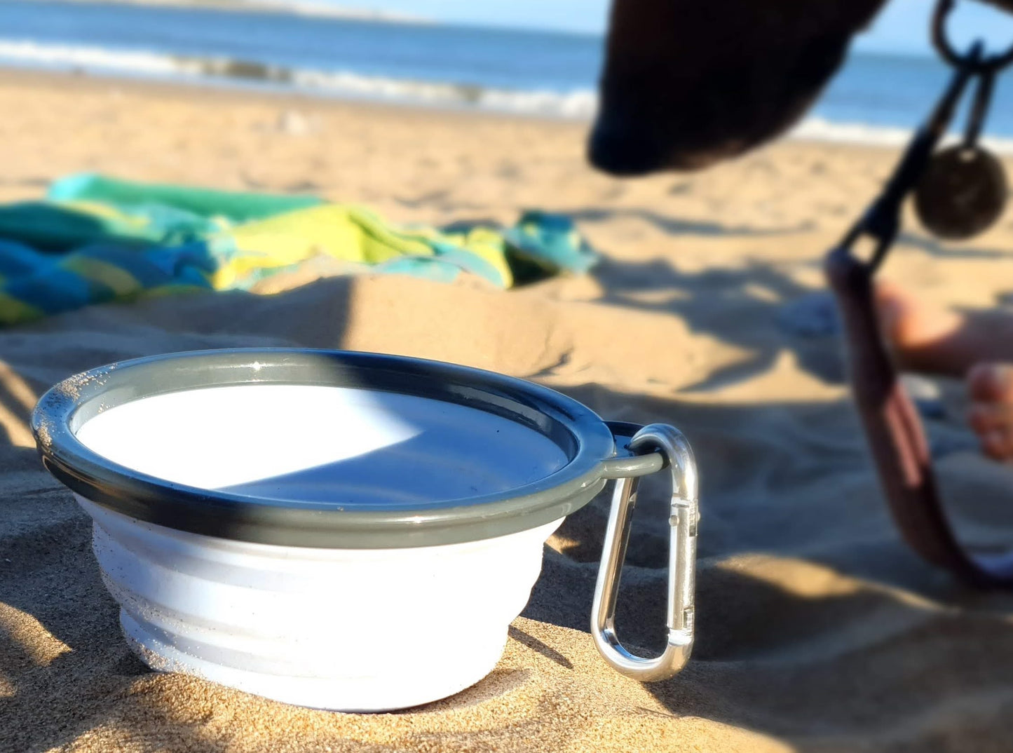 Henry Wag Blue Dog Travel Bowl