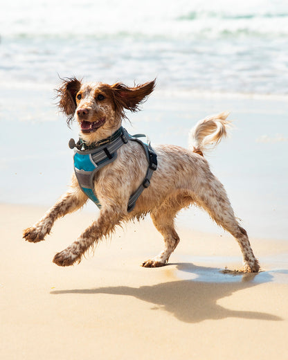 Henry Wag Blue/Grey Dog Travel Harness