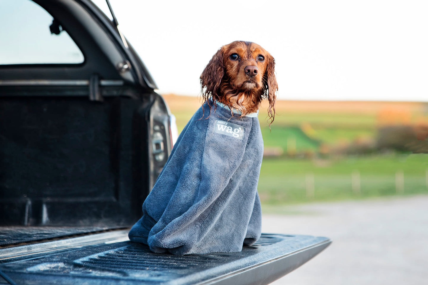 Henry Wag Grey Dog Drying Bag