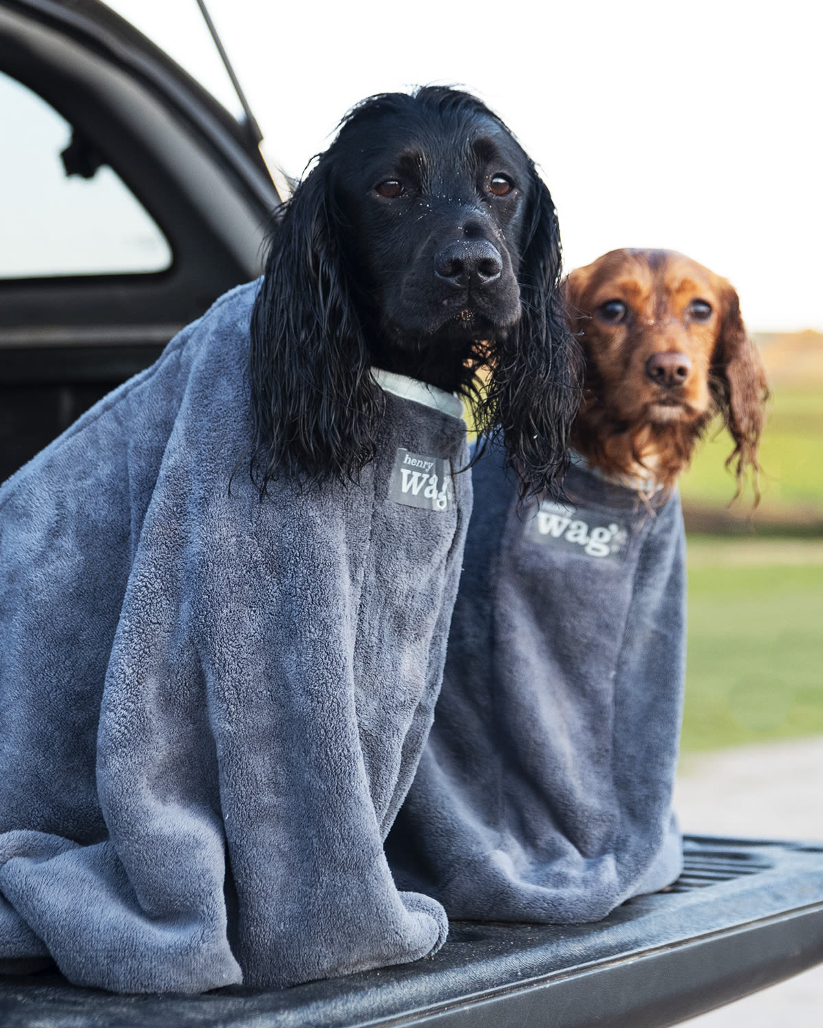 Henry Wag Grey Dog Drying Bag