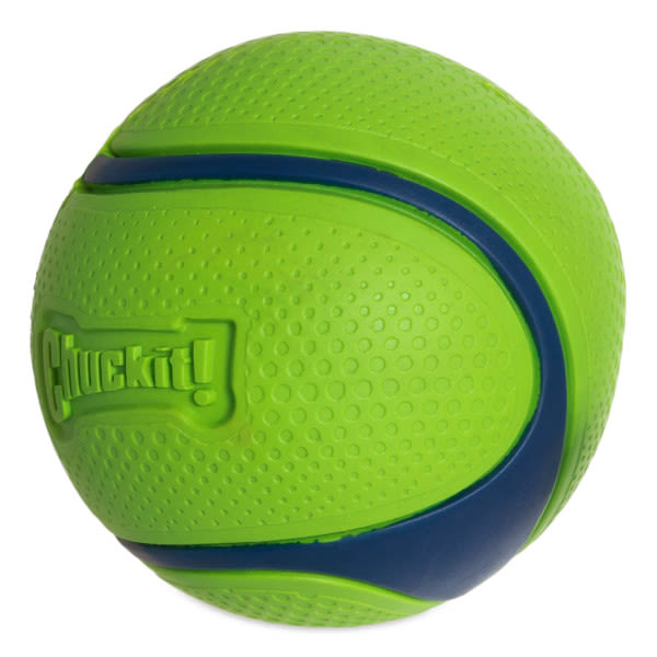 Chuckit! Sniff Fetch Ball Peanut Butter Medium Green Ball Dog Toy