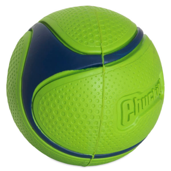 Chuckit! Sniff Fetch Ball Peanut Butter Medium Green Ball Dog Toy