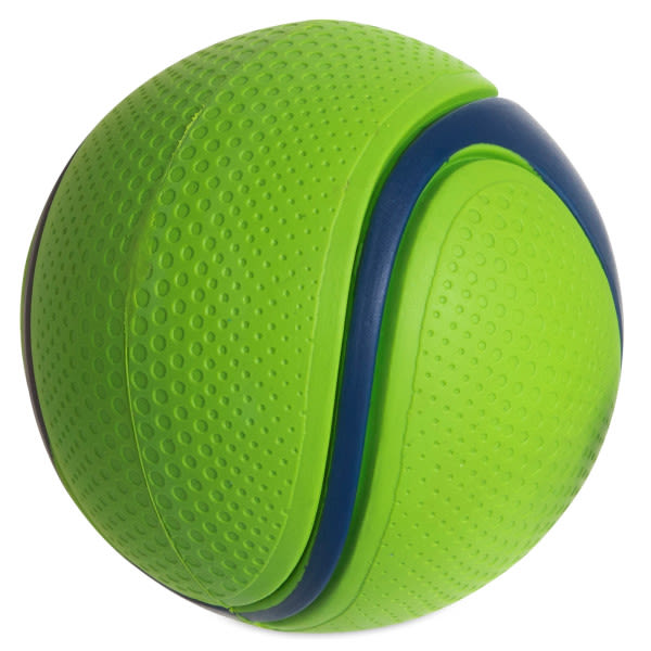 Chuckit! Sniff Fetch Ball Peanut Butter Medium Green Ball Dog Toy