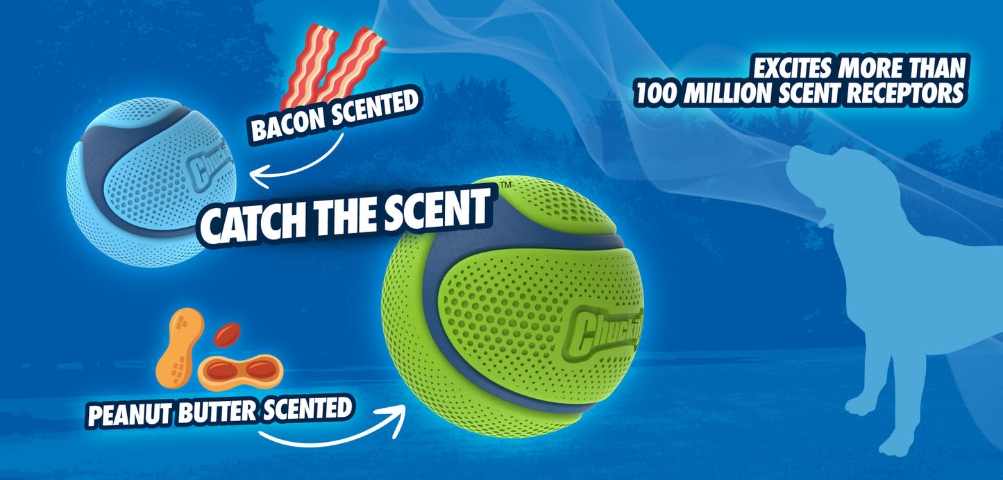 Chuckit! Sniff Fetch Ball Peanut Butter Medium Green Ball Dog Toy