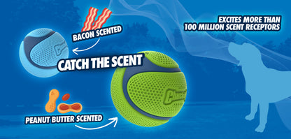 Chuckit! Sniff Fetch Ball Peanut Butter Medium Green Ball Dog Toy