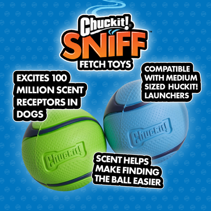Chuckit! Sniff Fetch Ball Peanut Butter Medium Green Ball Dog Toy