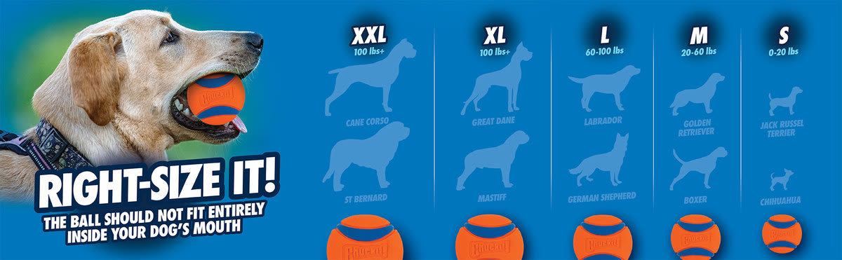 Chuckit! Fetch Medley Gen 3 Medium Orange Ball Dog Toy